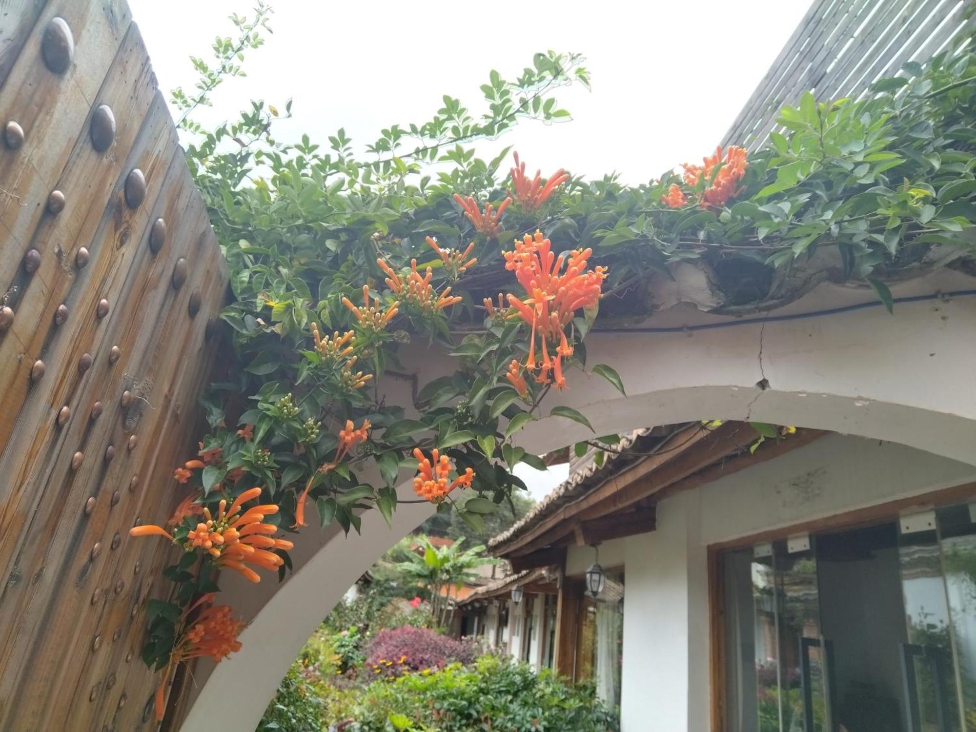 Chunjian Guesthouse Kunming Exterior photo